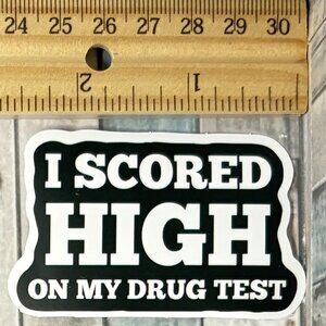 🌀10/$10🌀 Sarcasm Sarcastic Work Reusable Waterproof Vinyl Sticker Decal